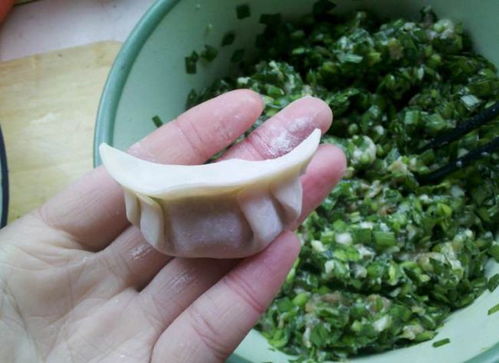 怎么做韭菜馅的饺子
