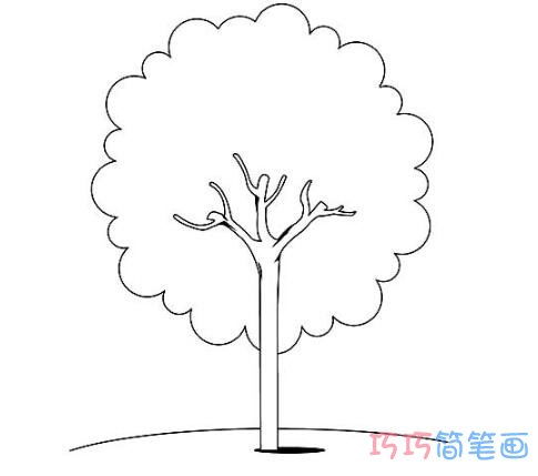 大树怎样画才好看