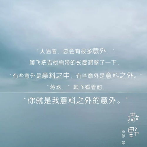 撒野名句，撒野名句经典语录励志