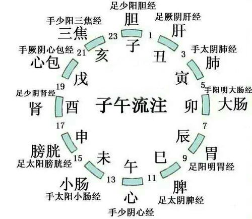 子时和午时各指什么时候?
