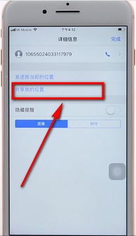 苹果手机共享位置怎么设置