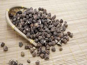 辣木籽如何食用，辣木籽如何食用,一天吃几颗