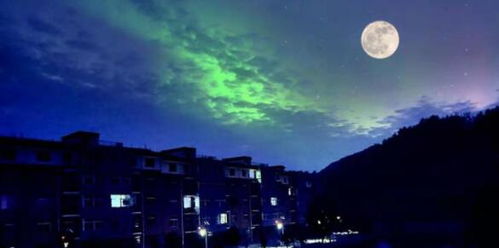 露从今夜白下一句