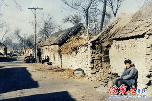 沈泉庄社区哪年盖的别墅楼