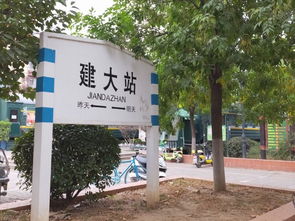 适宜养老的城市有哪些?