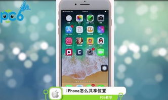 苹果怎么共享位置