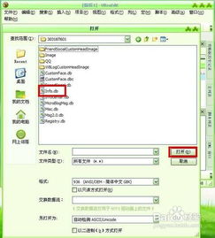 db格式的文件怎样在电脑上打开