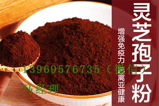破壁灵芝孢子粉吃法与用量