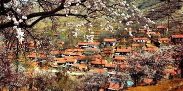杏花村在哪