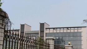 城市养老，城市养老保险一年交多少钱