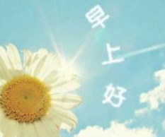 适合早上发的朋友圈 关于早上好的说说77句