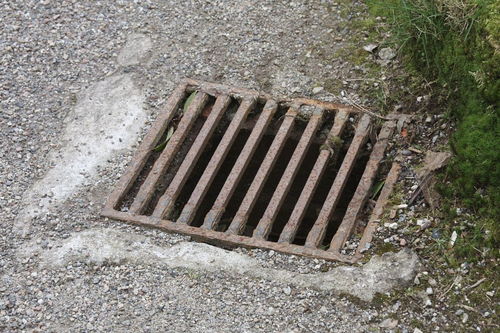 一什么树坑填空