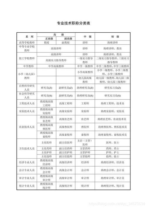 职称专业分类对照表，职称专业及等级