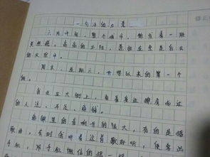 用情景交融写作文200