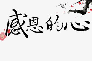 宸宇这个名字的寓意，宸宇这个名字的寓意是什么意思
