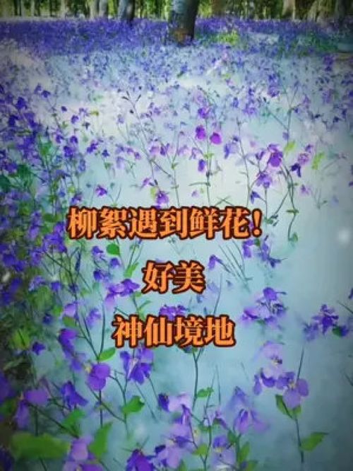 美就在身边，美就在身边800字作文
