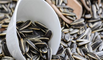 全国的瓜子产地都分别在哪?