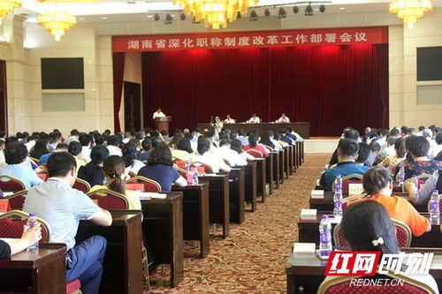 湖南省人社厅官网，湖南省人社厅官网网站职称评审