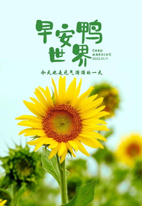 早上好说说，早上好说说心情优美句子
