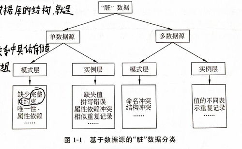 洗涤读音是什么