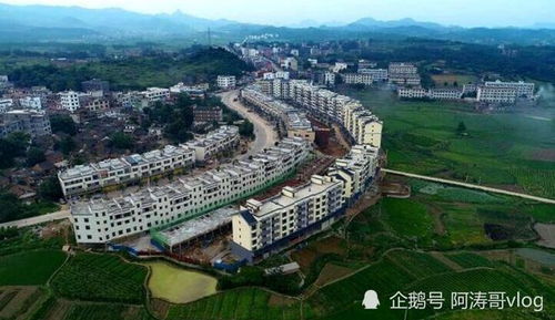 道县是哪个省哪个市