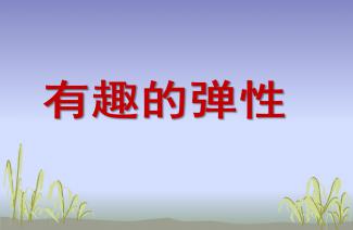 数学家的故事ppt