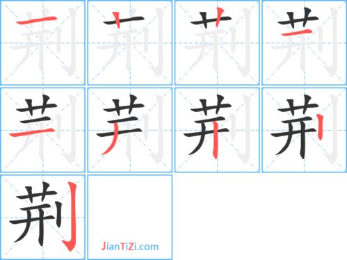 荆组词是什么