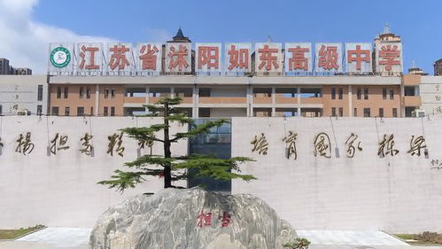如东高级中学985211录取率
