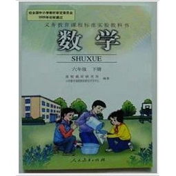 人教版小学六年级下册数学有哪些内容