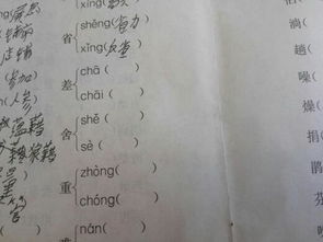 番的拼音与组词?