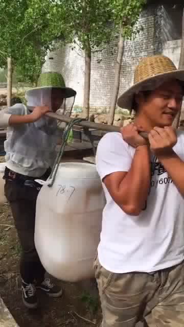词语“挑着”的意思是什么?