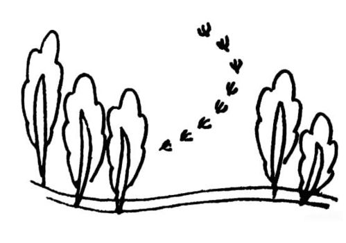 燕子春光图简笔画