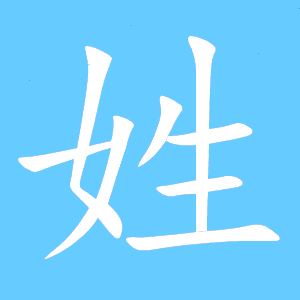 姓笔画顺序怎么写
