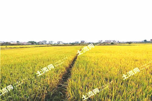 土地整理包含哪些内容