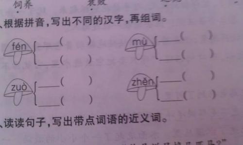 坠的形近字有哪些?