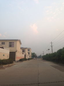 今天郏县天气预报