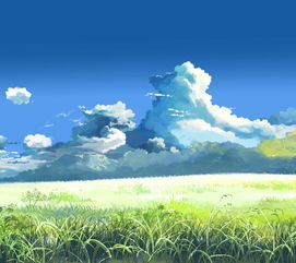 怎样的田野