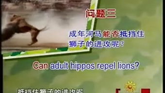 盼望的英文短语