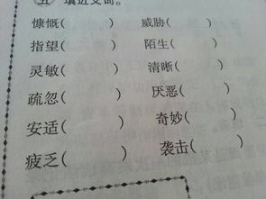 怏捷,顺序,规则近义词