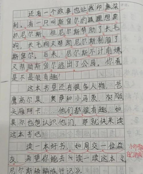 作文,《我推荐的一本书》怎么写