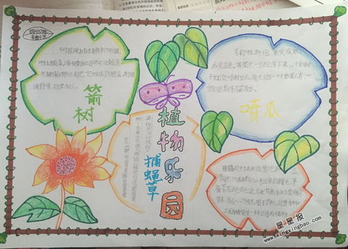 关于植物的手抄报怎么画