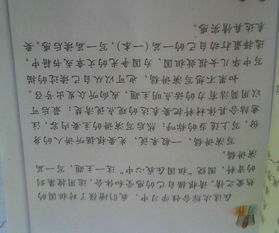 六年级上册第二单元《多彩的活动》作文十篇