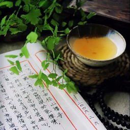 “口占一绝”中的“口占”是什么意思?