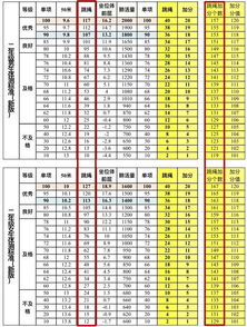 二年级跳绳评分标准2022