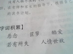 萝拼音怎么写