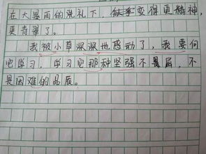 好的作文开头和结尾 有哪些好的作文开头和结尾
