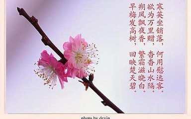 写花的句子唯美