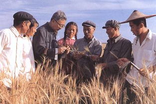 数学家华罗庚的资料，数学家华罗庚的资料简介_速网百科