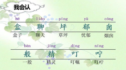 虹的组词有哪些?