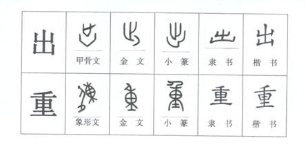 处组什么词?有哪些?